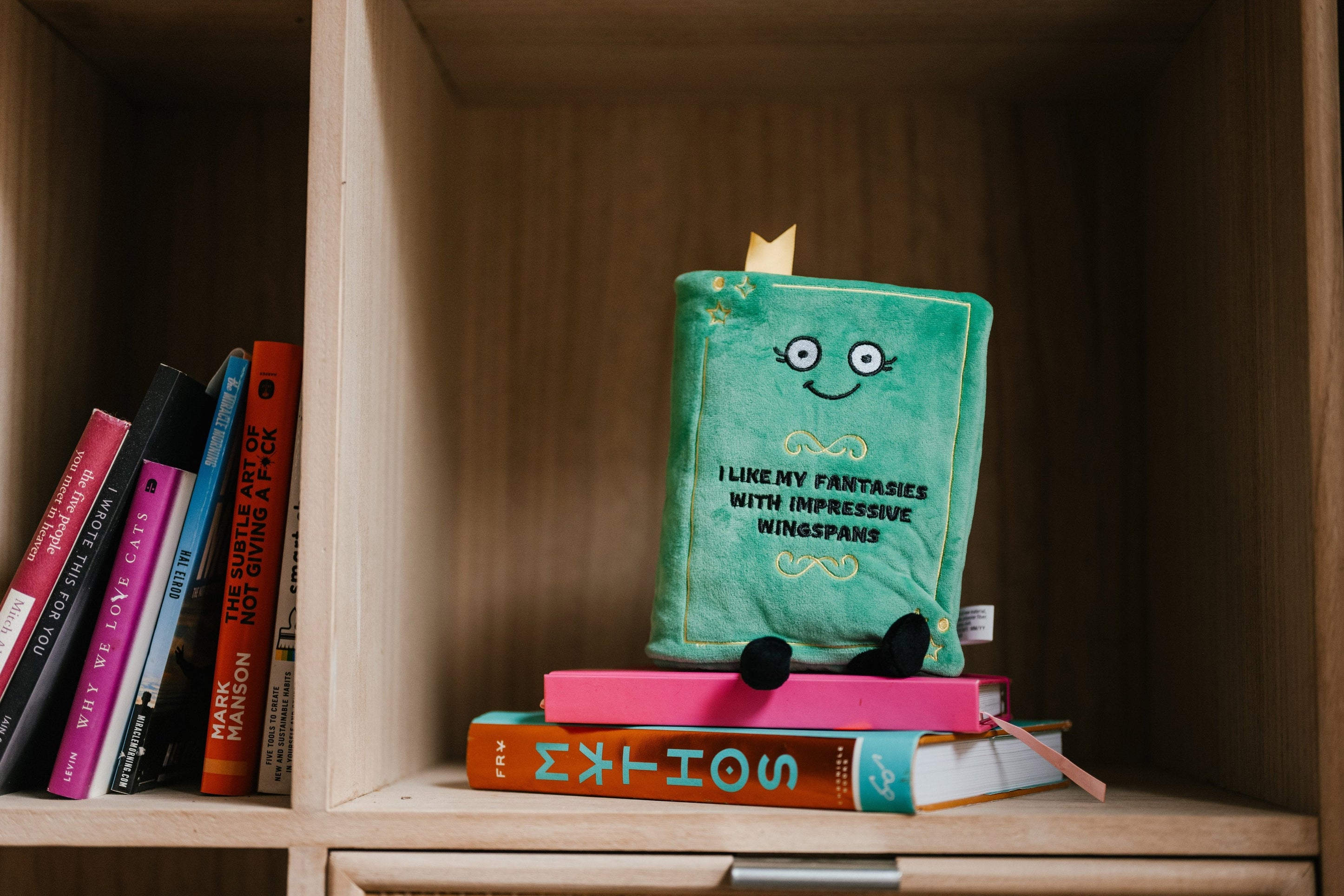 A plush designed to look like a green book with a smiling face and 'I like my fantasies with impressive wingspans' written on the cover placed on a bookshelf.
