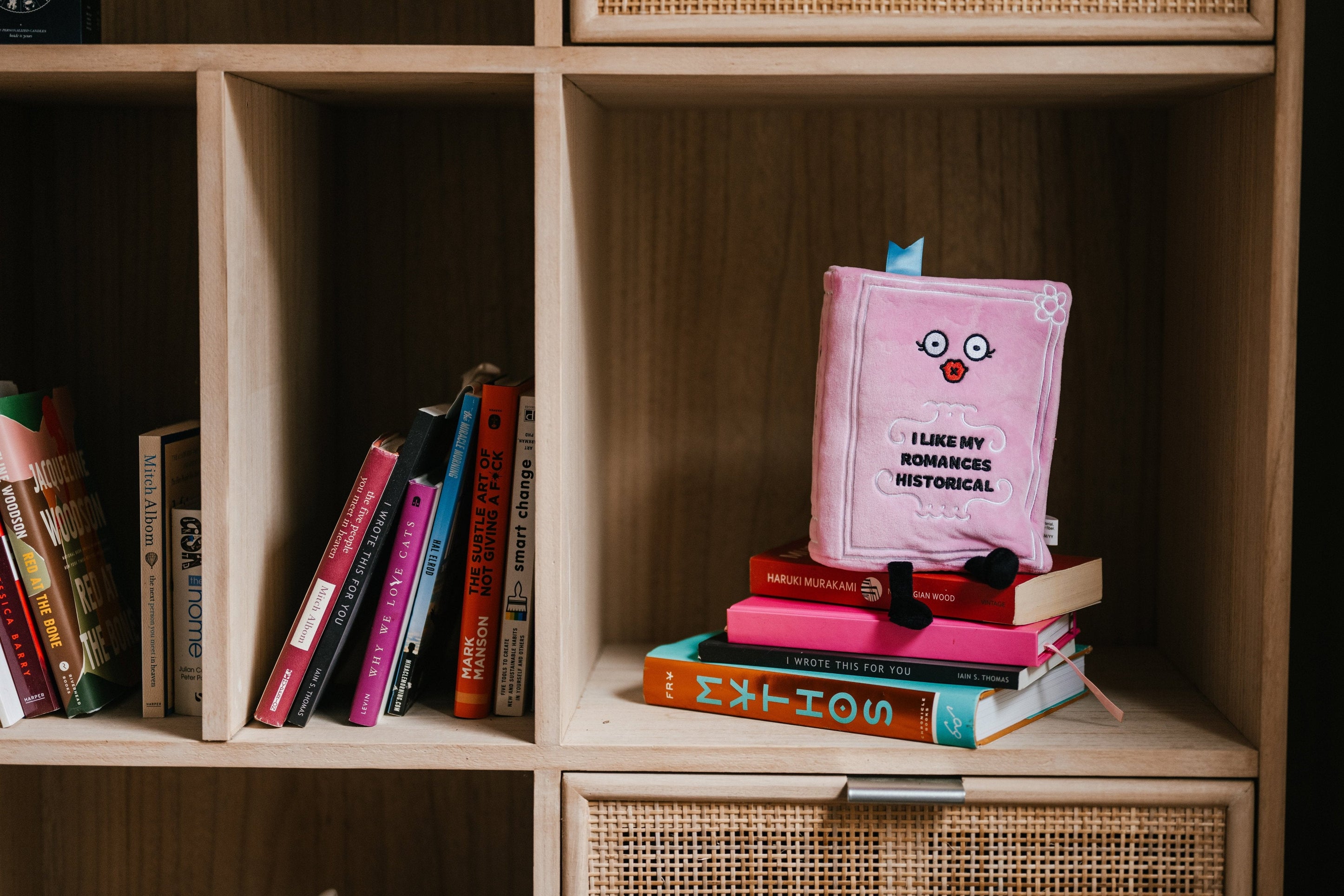 A pink plush designed to look like a book with a face, dangly legs, and text that reads, 'I like my romances historical' placed on a bookshelf.