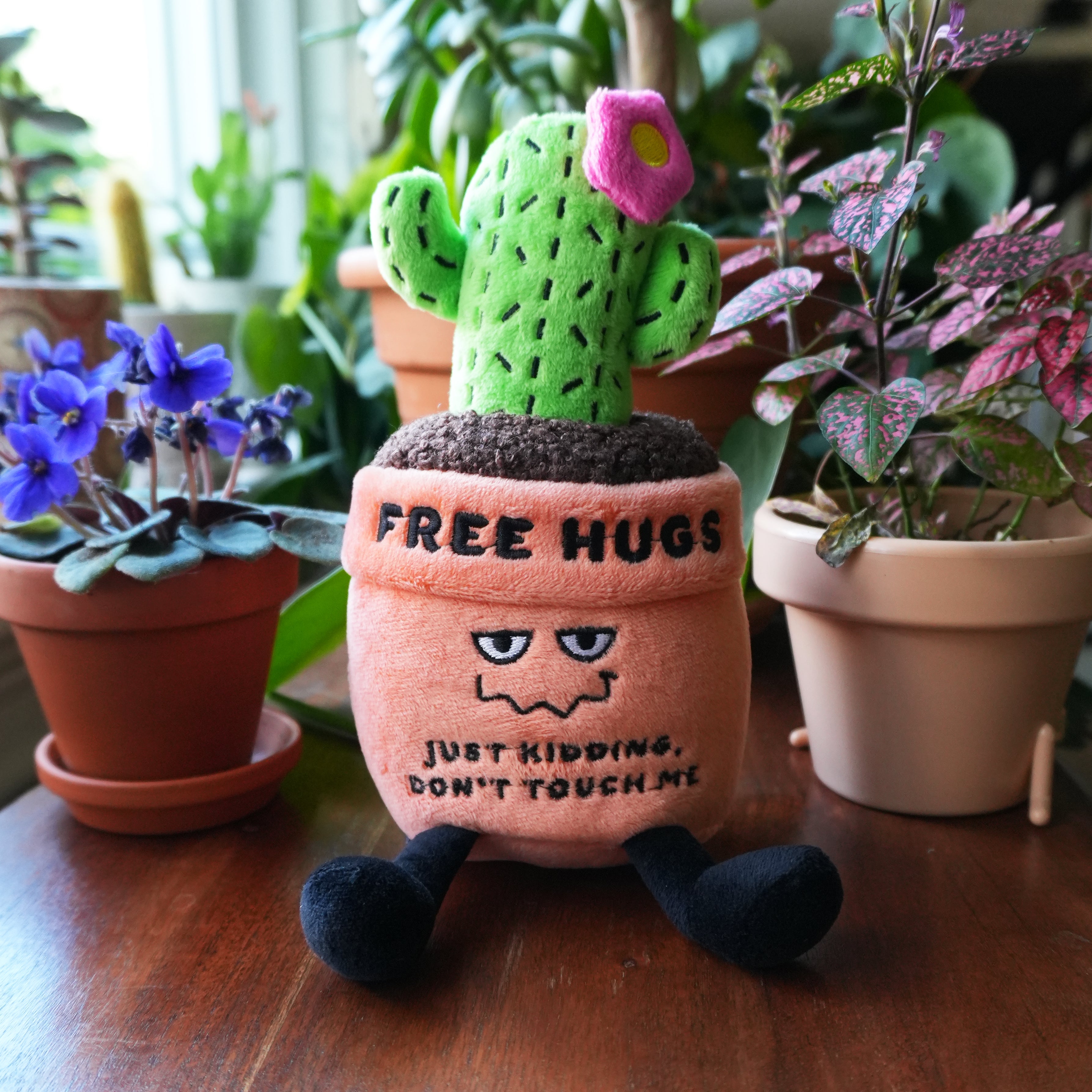 “Free Hugs” Cactus Plush