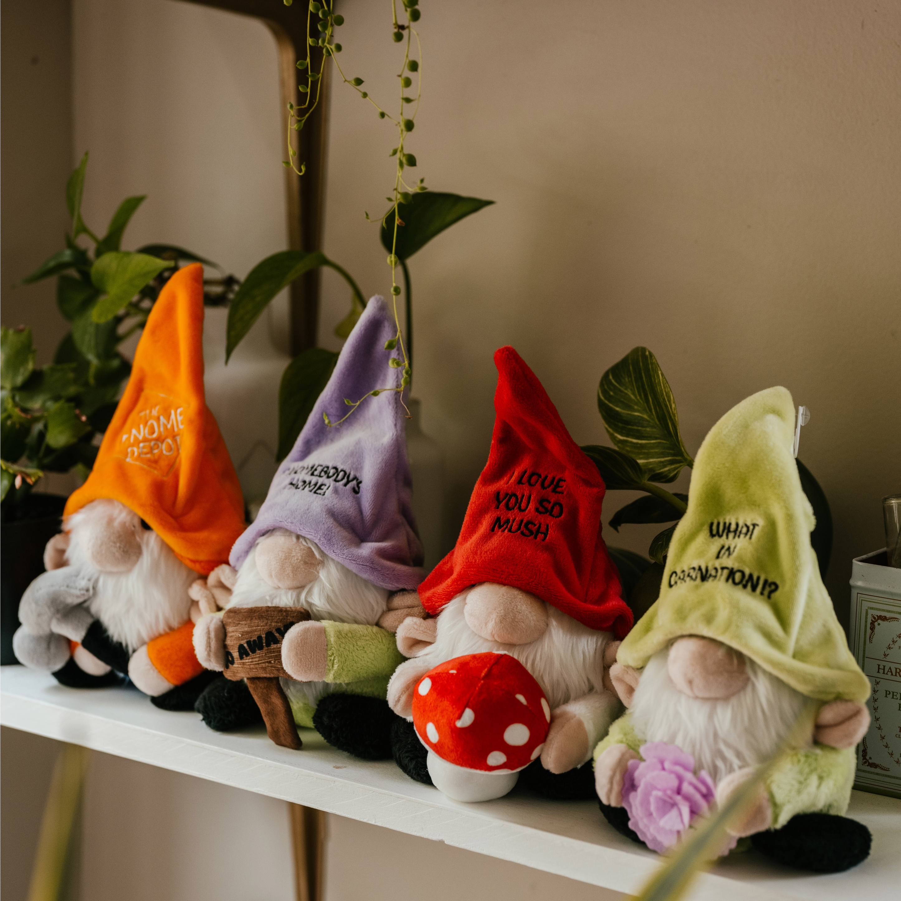 A group of gnomes positioned on a shelf with plants in the background.