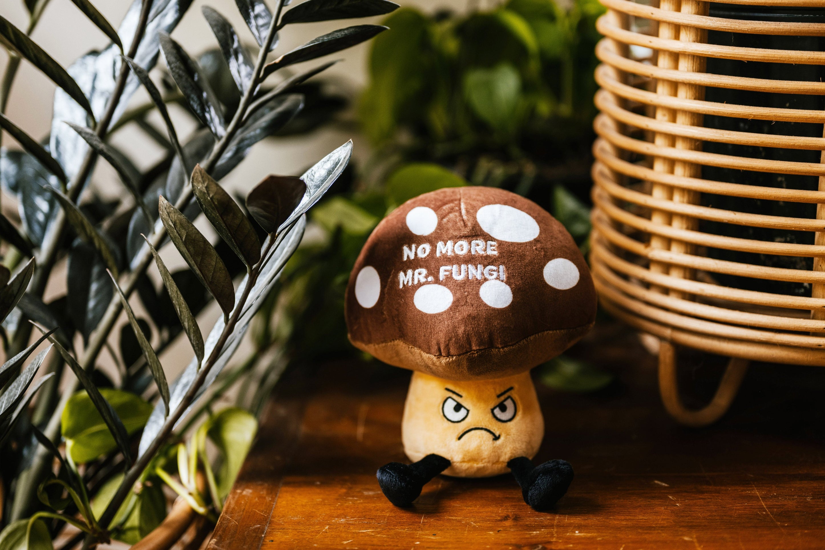 A plush designed to look like an angry-looking mushroom with the phrase 'NO MORE MR. FUNGI' written on the cap placed on a desk surrounded by plants.