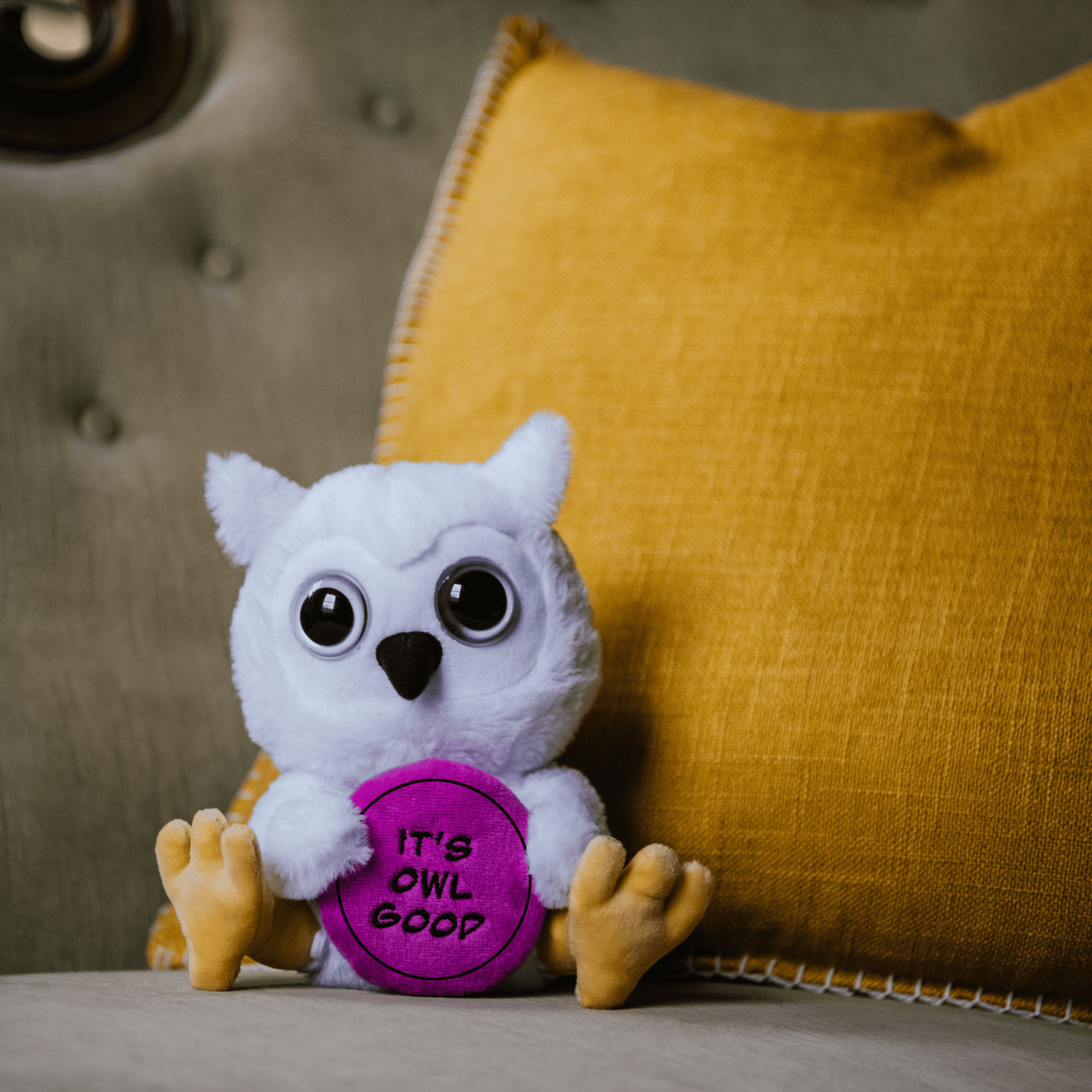 A plush depicting an owl with large 3D eyes, holding a purple circular object with the text 'IT'S OWL GOOD' placed on a couch.