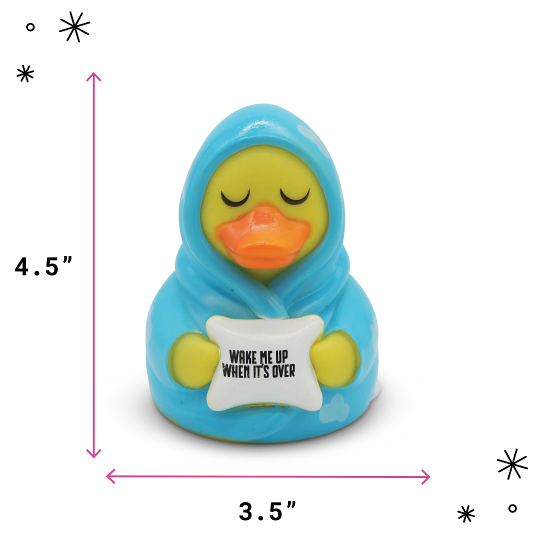 Toy duck in a blue hood with a pillow and measurements on a white background