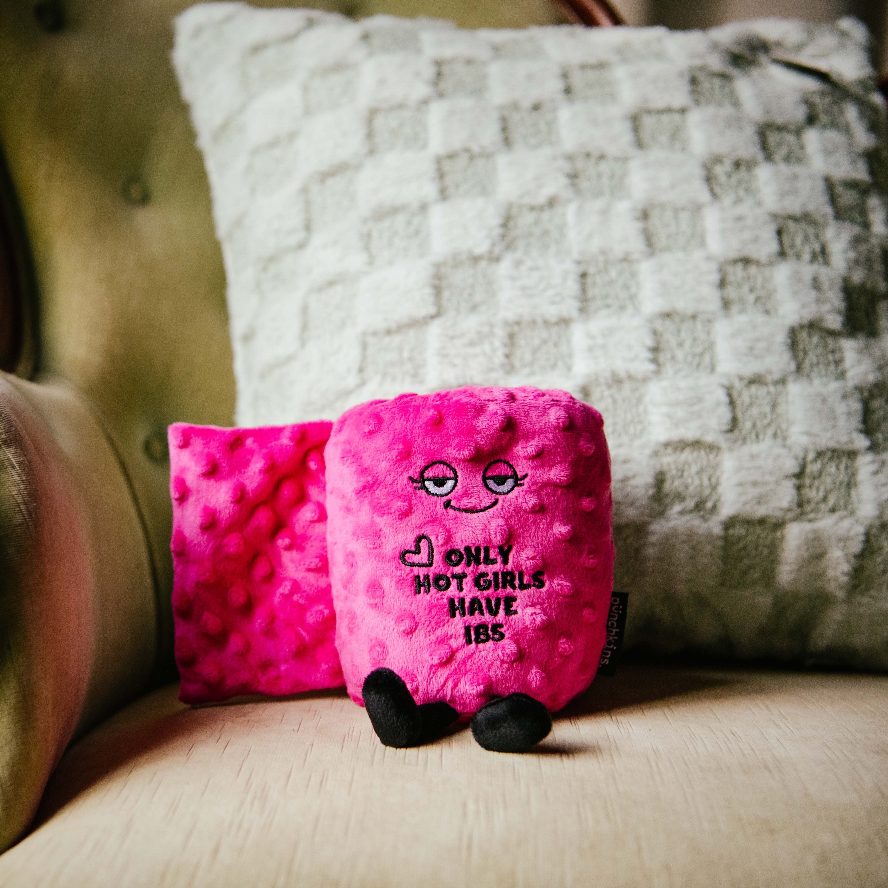A plushie resembling a roll of toilet paper with a face and text that reads 'Only hot girls have IBS' on a couch.