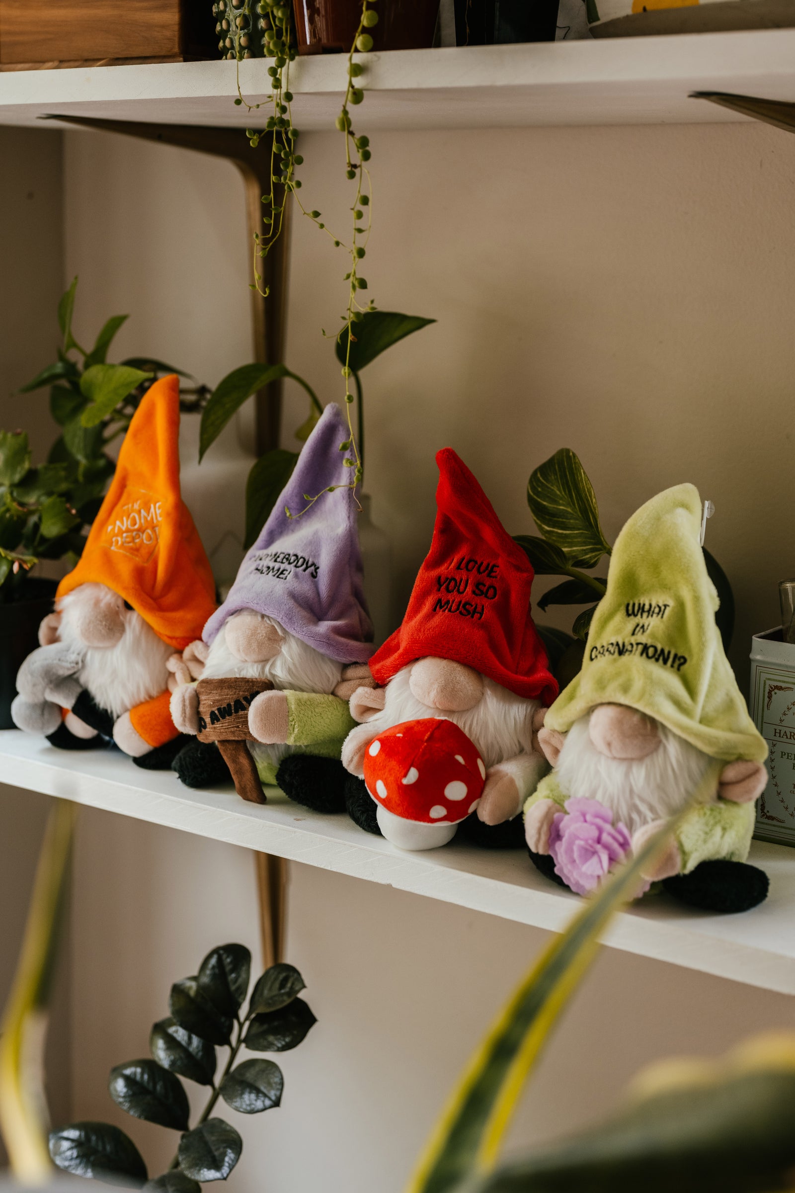Collection feature image