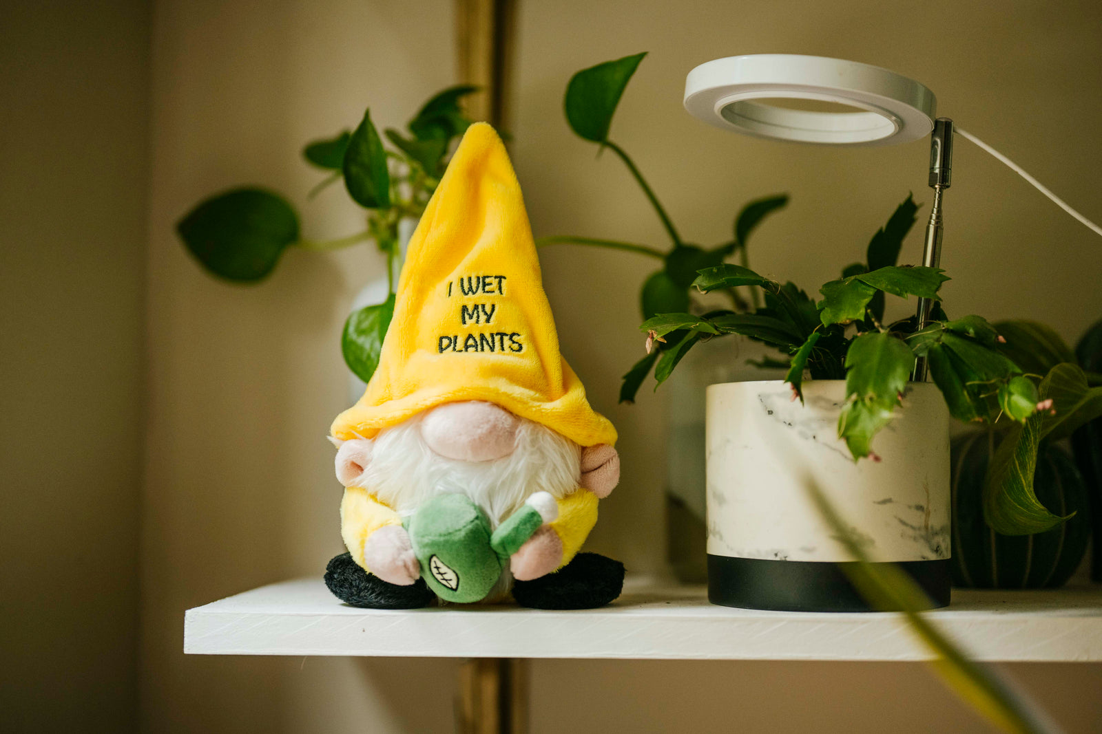 Collection feature image