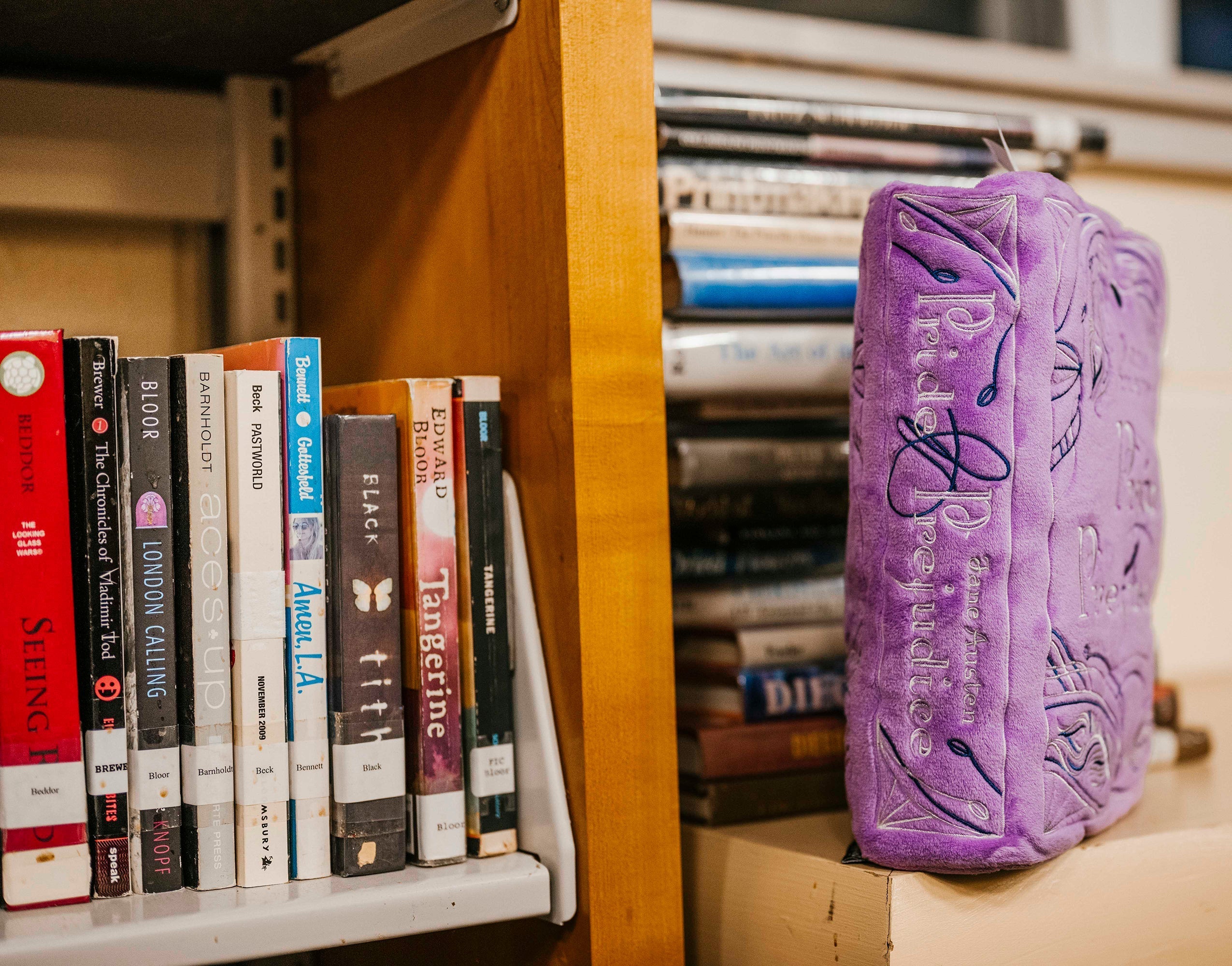 The Pride and Prejudice book plush at the library 