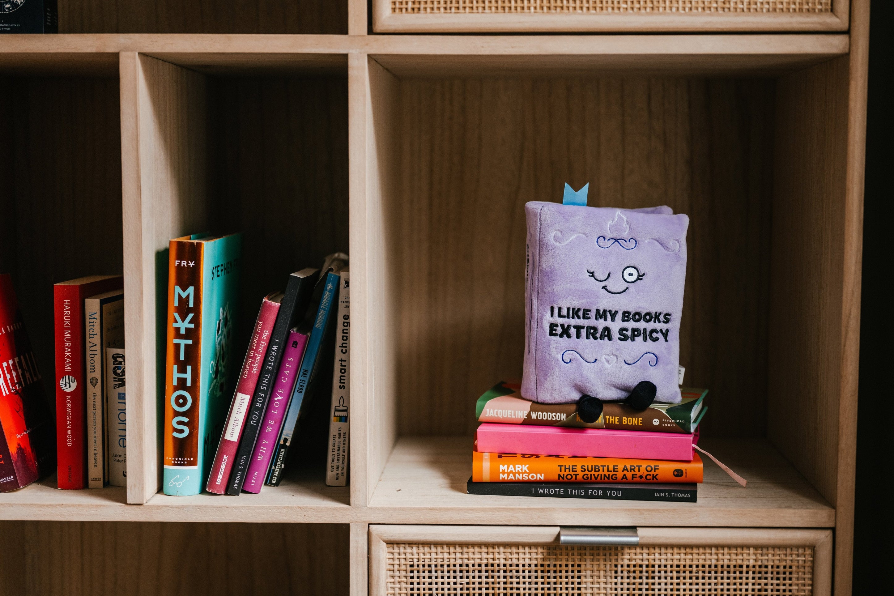 A plush book with the phrase 'I LIKE MY BOOKS EXTRA SPICY' written on the cover, placed on a bookshelf. 