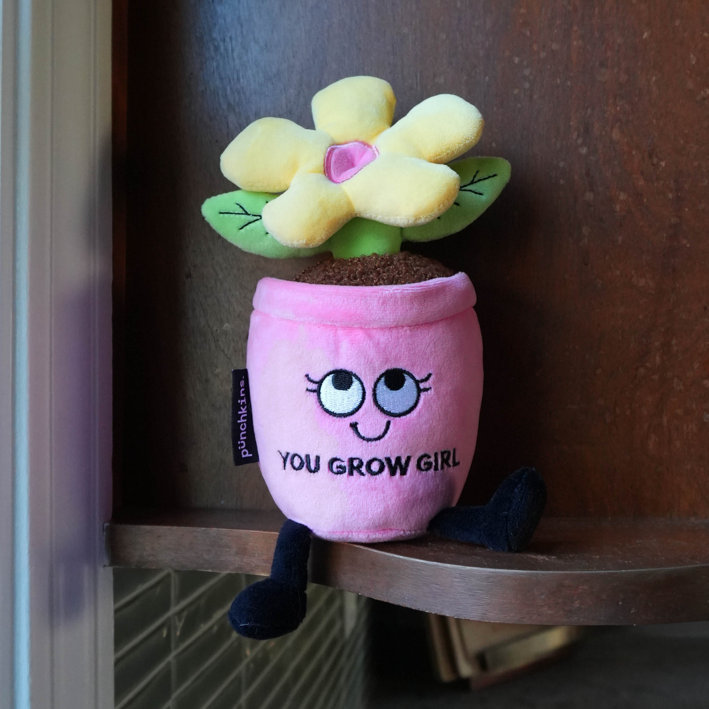 Plush toy flower pot with a face and 'You Grow Girl' text on a wooden shelf.