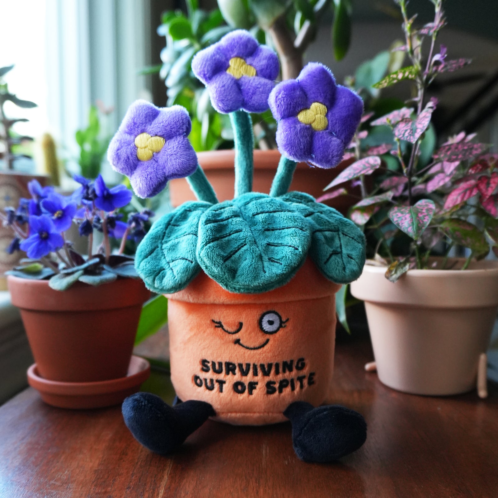 Collection feature image