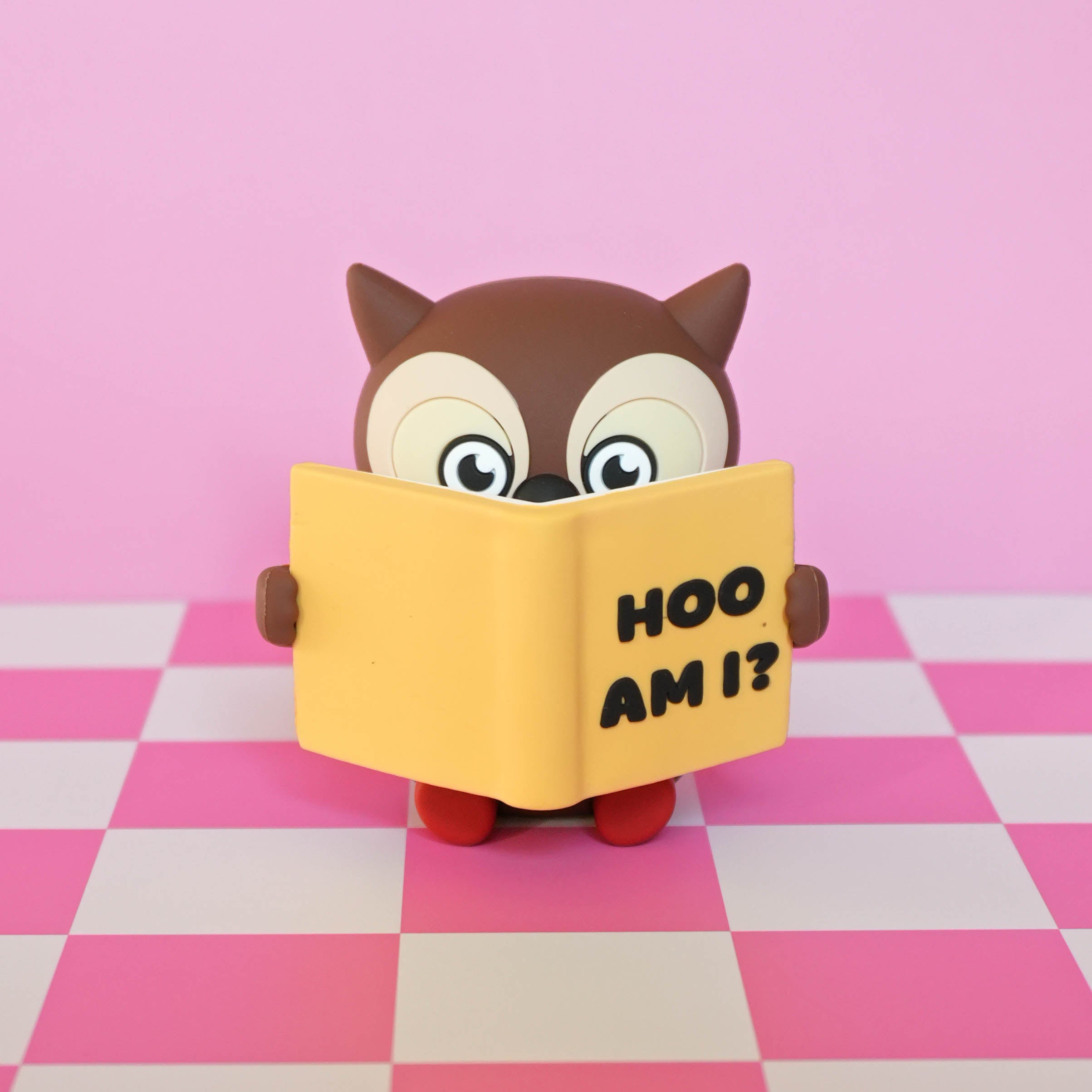 "Hoo Am I?" Reading Owl Desk Figure