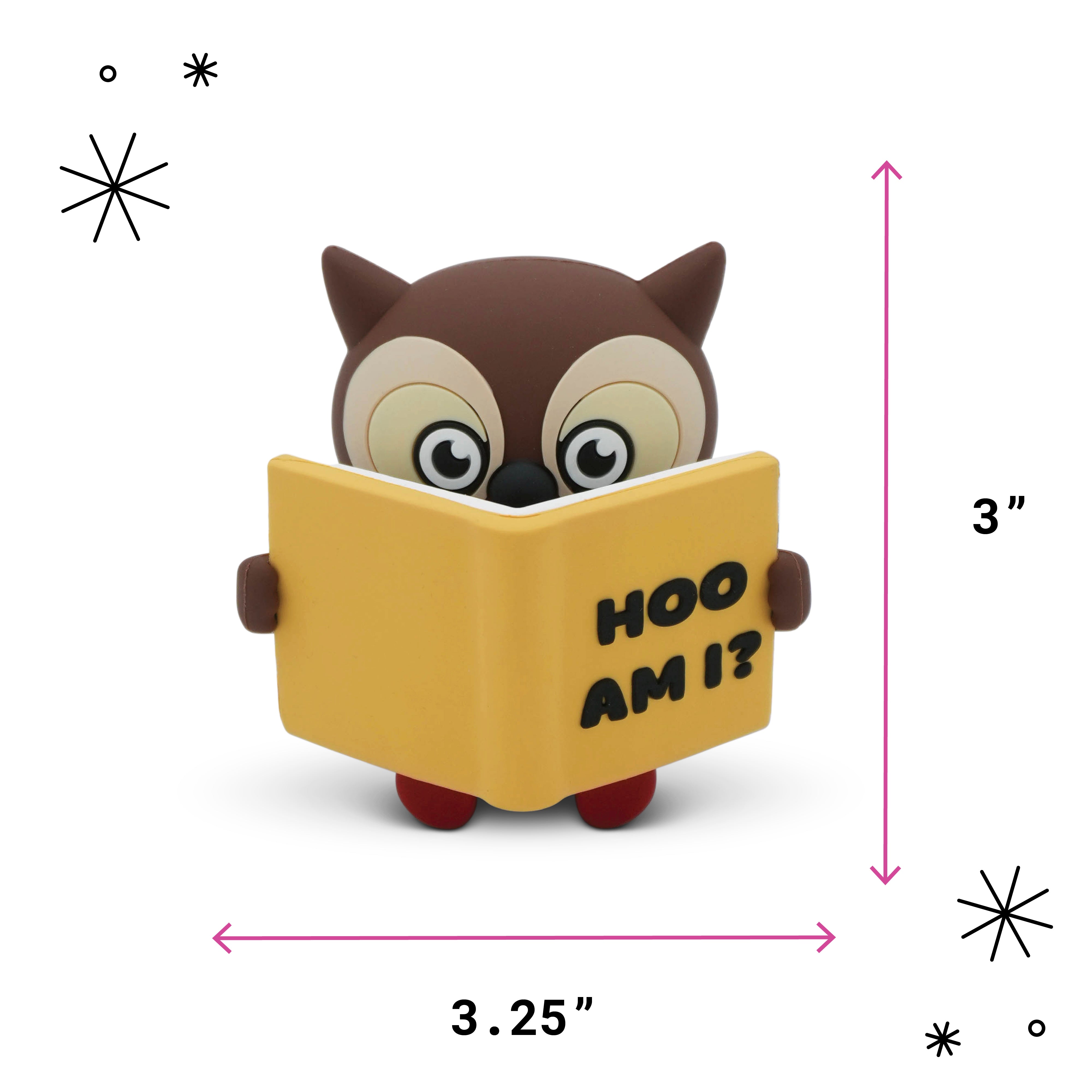 "Hoo Am I?" Reading Owl Desk Figure