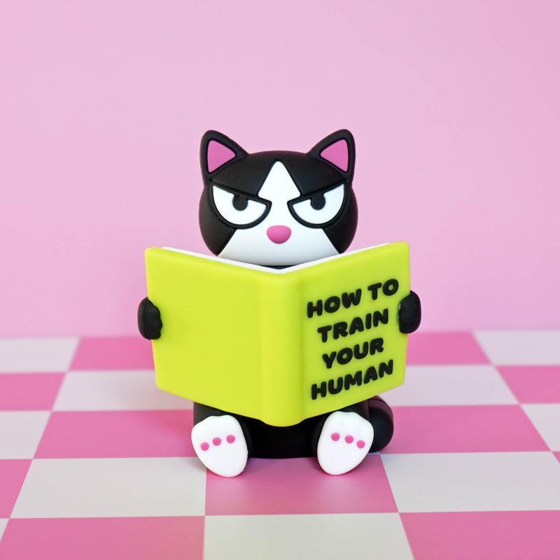 "How to Train Your Human" Reading Cat Desk Figure