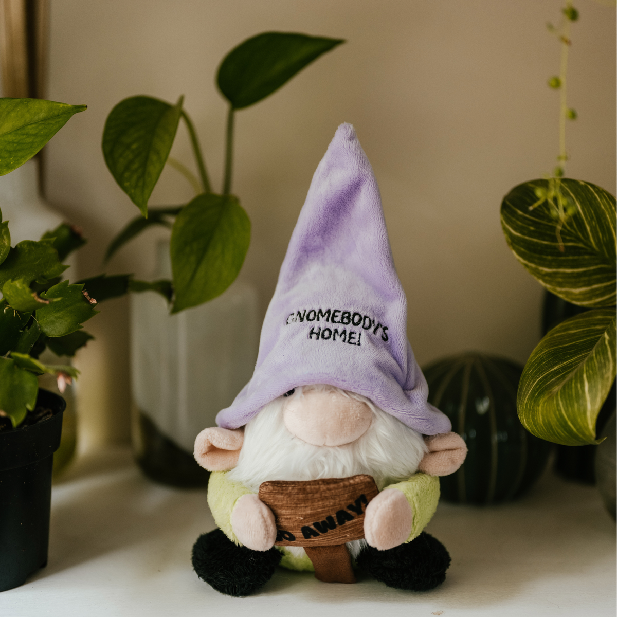 A plush gnome with a purple hat that says 'Gnomebody's Home' on it, sitting on a surface with plants in the background.