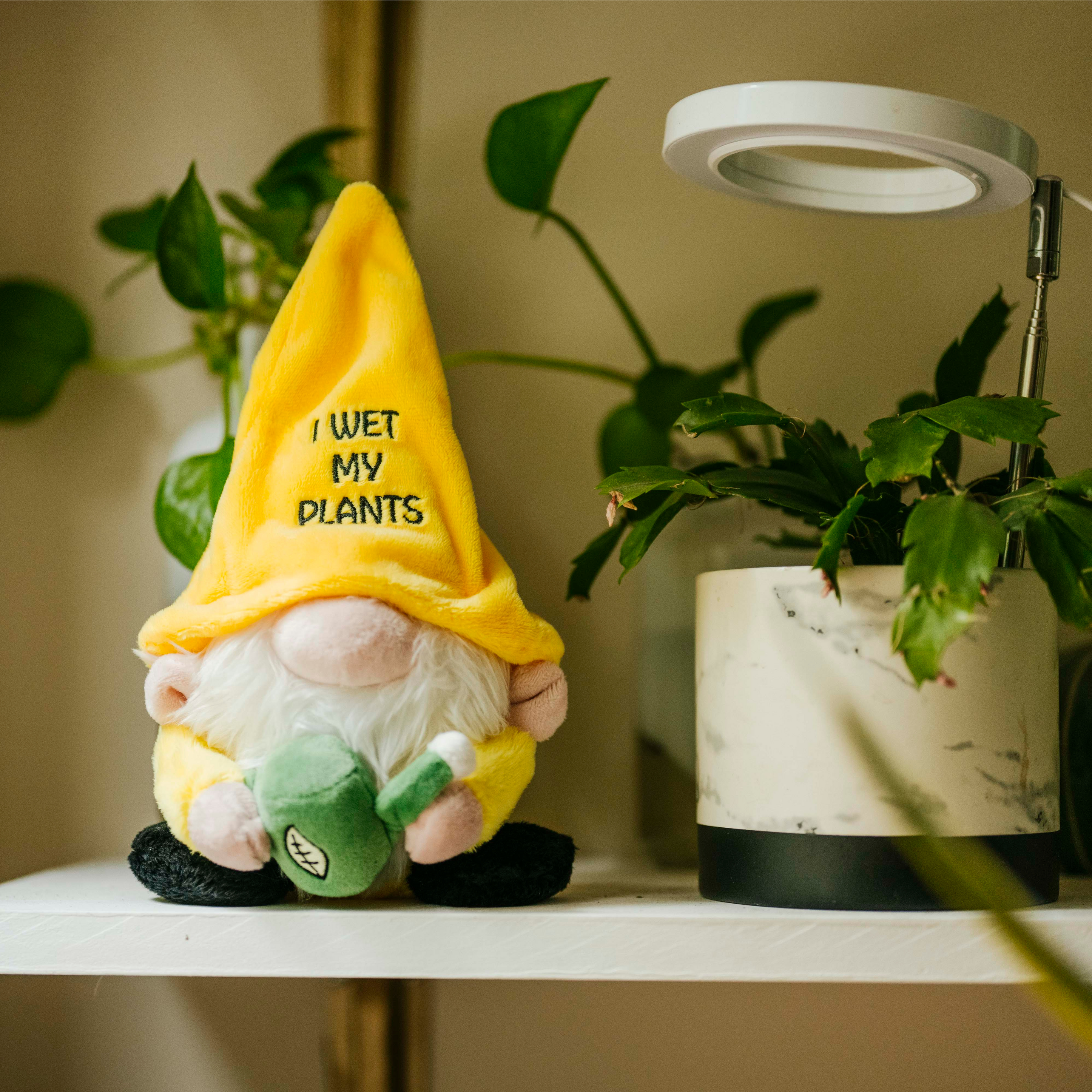 A plush gnome with a yellow hat and green watering can, with the phrase 'I wet my plants' written on the hat. The gnome is positioned on a shelf with plants in the background.