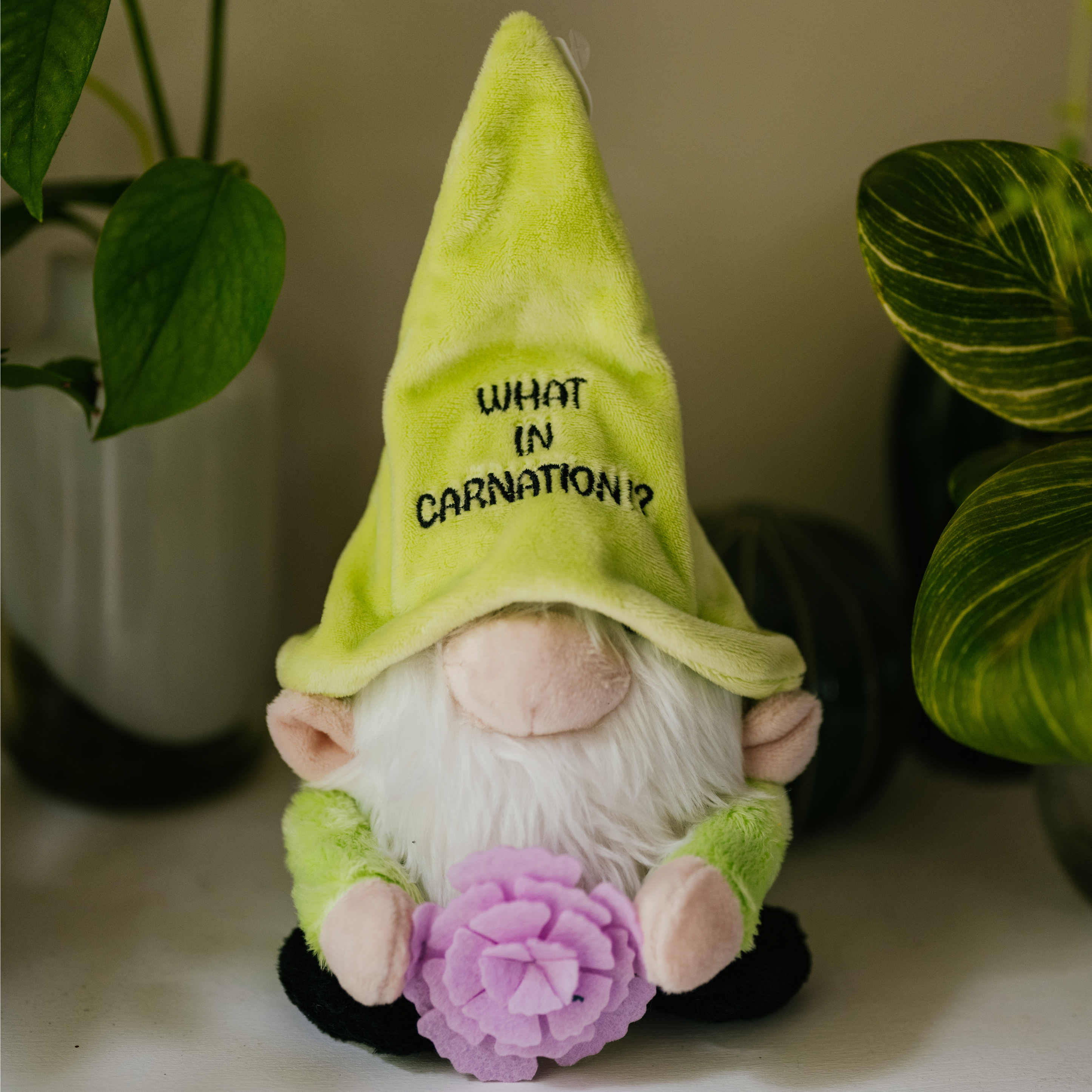 A plush gnome with a green hat with the text 'WHAT IN CARNATION' written on it, holding a purple flower place infront of plants.