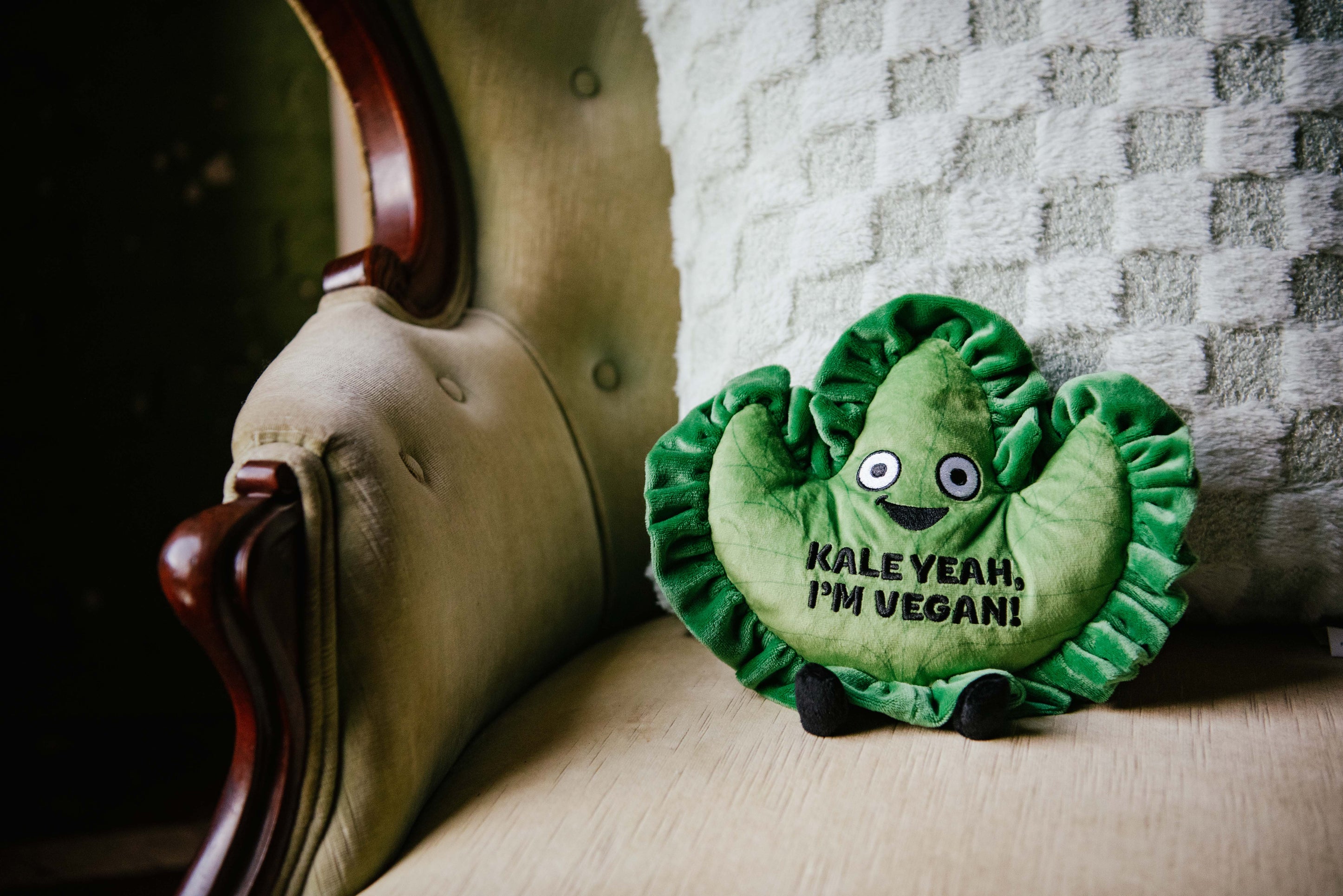 A plush shaped like a kale leaf with a smiling face and the text 'KALE YEAH, I'M VEGAN!' on it sitting on a couch.