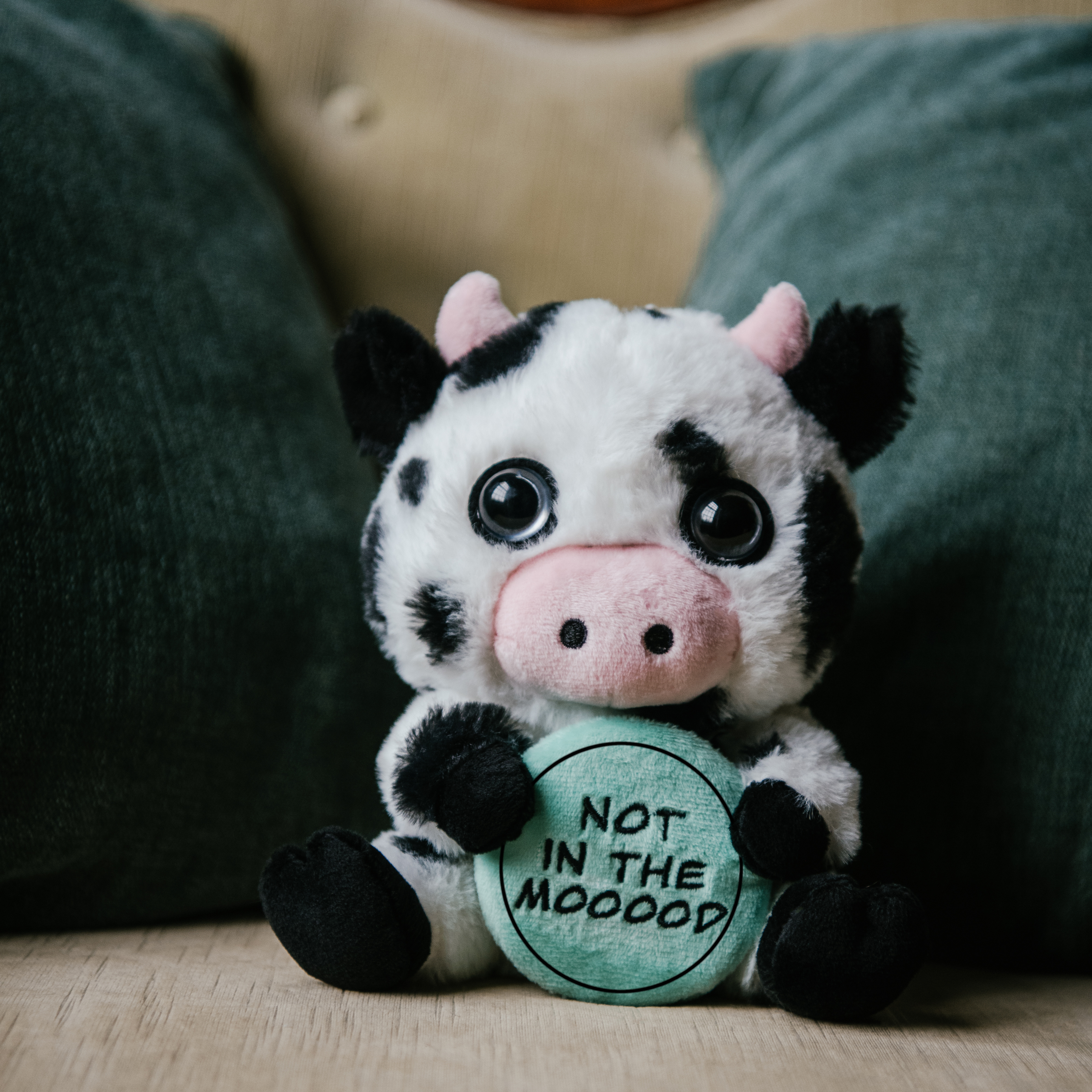 A plush cow holding a sign that reads 'not in the mooood' placed on a couch.