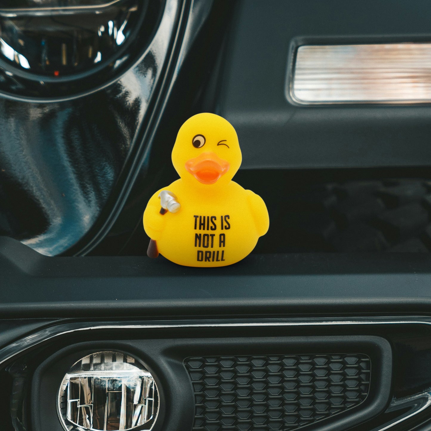 Yellow rubber duck holding a hammer and 'THIS IS NOT A DRILL' text on a car dashboard.